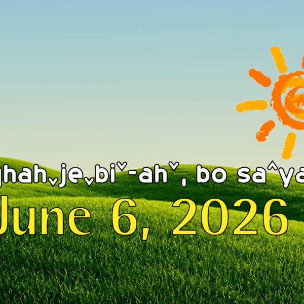 Environment June 6, 2026